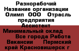 Разнорабочий › Название организации ­ Олимп, ООО › Отрасль предприятия ­ Ассистент › Минимальный оклад ­ 25 000 - Все города Работа » Вакансии   . Пермский край,Красновишерск г.